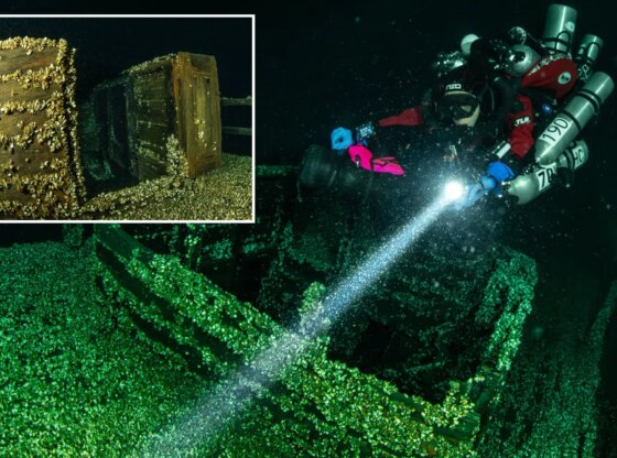 An image collage containing 2 images, Image 1 shows A diver illuminating a shipwreck at the bottom of Lake Ontario, Image 2 shows Part of a sunken wooden shipwreck on the bottom of Lake Ontario, covered with mussels