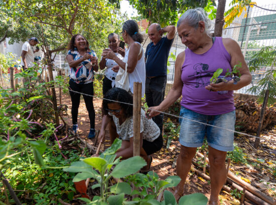 A collective action to plant lettuce, kale, and rue in the community garden green space. Residents of Complexo do Arará take part in activities that promote well-being and strengthen community ties. Photo: Bárbara Dias